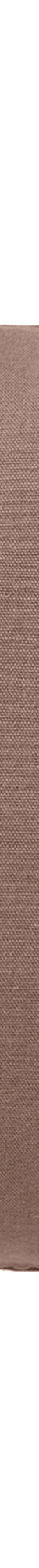 Housse de coussin unie bachette - lot de 2 (taupe) Housse de coussin unie bachette - lot de 2 (taupe)